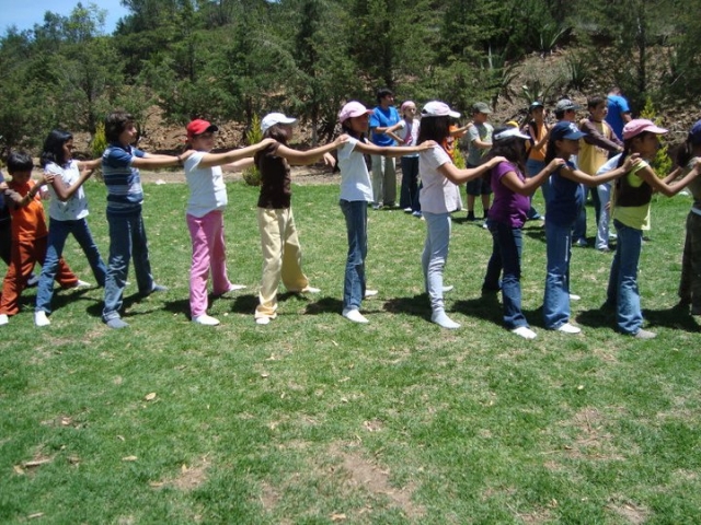 Actividades de grupo